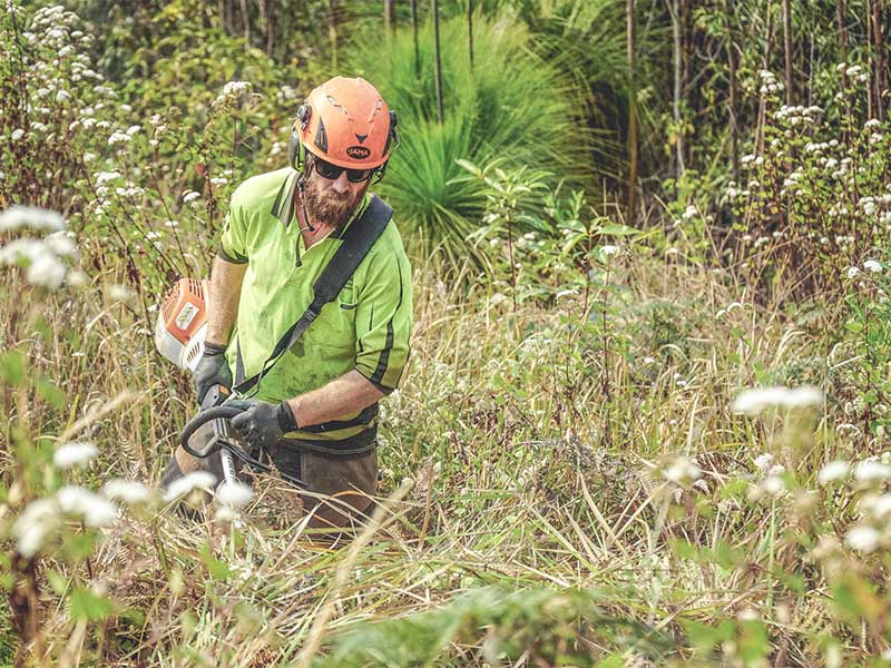 Danoia_Landcare_Brushcutting_Mowing